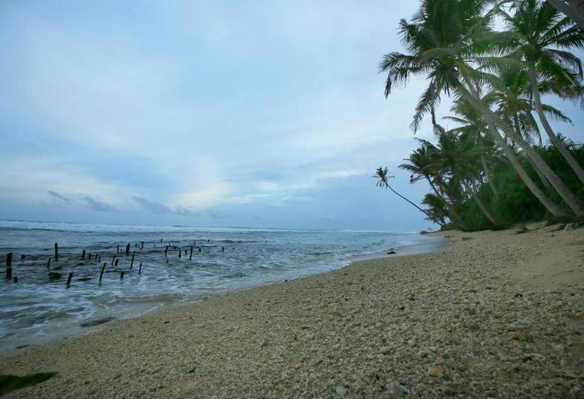 ホテル Turtle Eco Beach