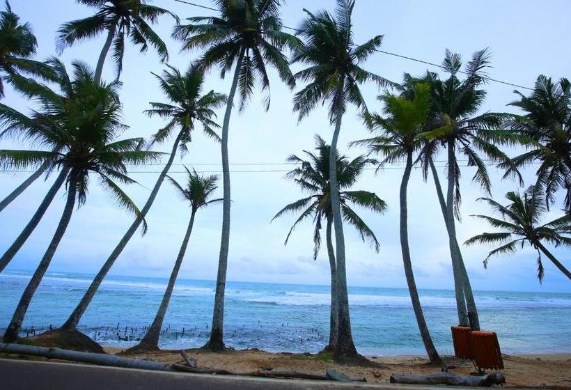 ホテル Turtle Eco Beach