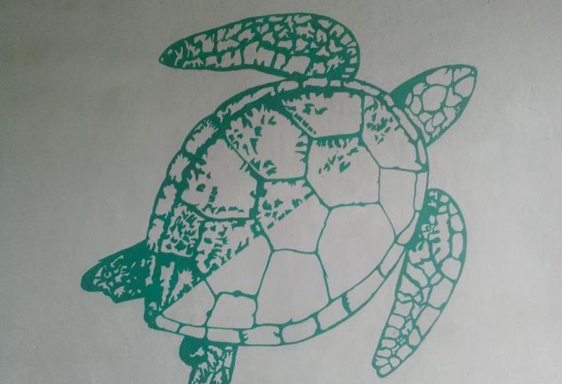 ホテル Turtle Eco Beach