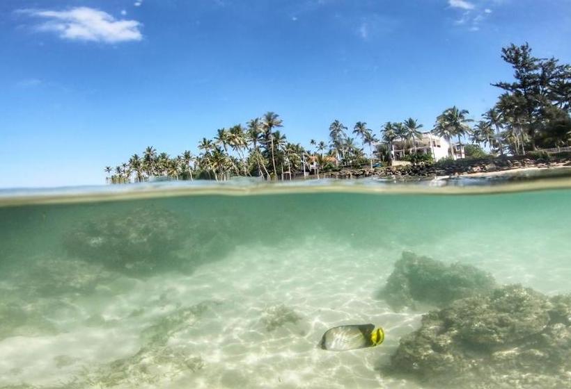 ホテル Turtle Eco Beach