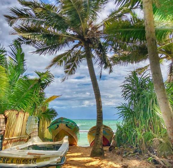 ホテル Turtle Eco Beach