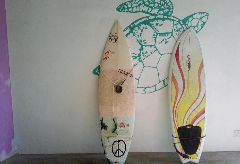 ホテル Turtle Eco Beach