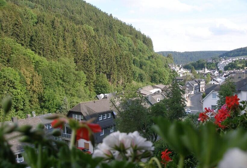 Pension Haus Waldfrieden, Meinecardplus Inklusive