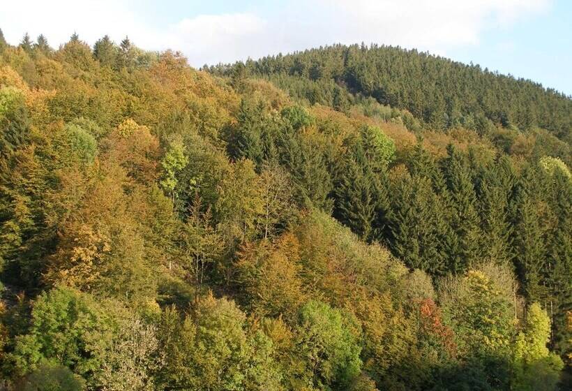 Pension Haus Waldfrieden, Meinecardplus Inklusive