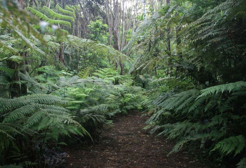 호텔 Warblers Retreat