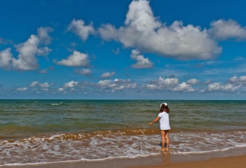 Отель Ambassador