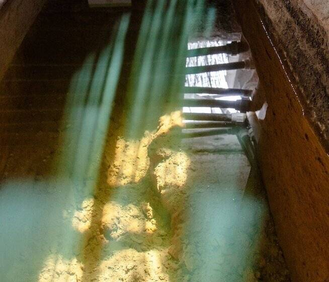 호텔 Paradiso Terme Resort & Spa Con 5 Piscine Termali