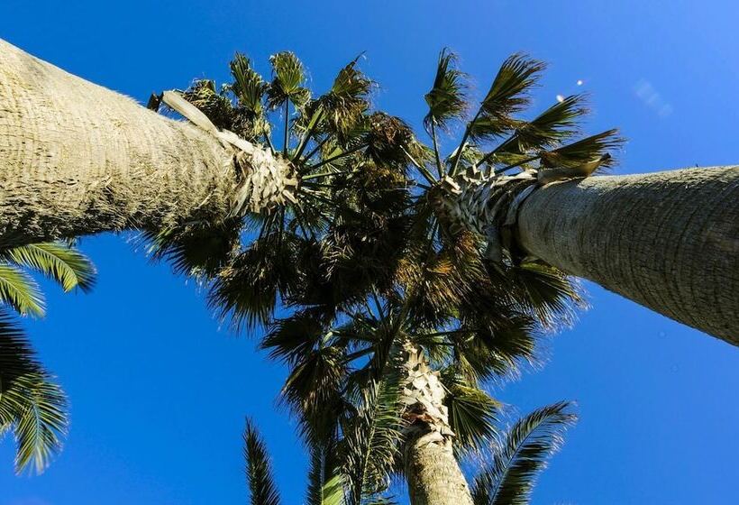 בית מלון כפרי Regent   In Pieno Centro