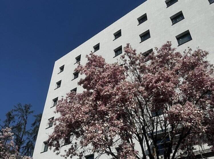 Acca Sporting Milano   Aa Hotels