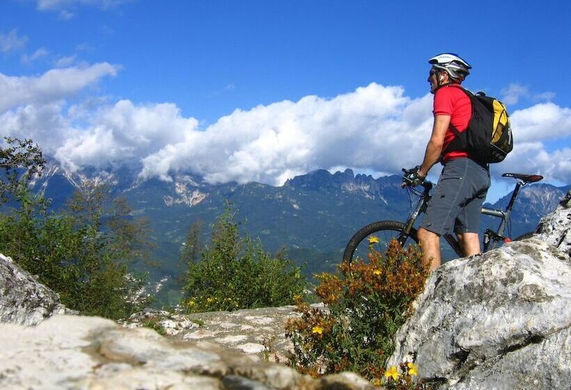 Отель Trettenero