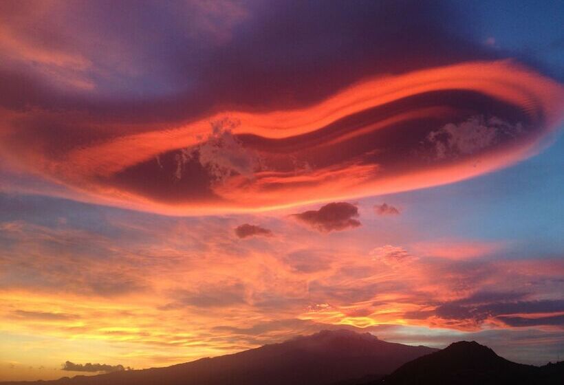 Villa Greta Hotel Rooms & Suites