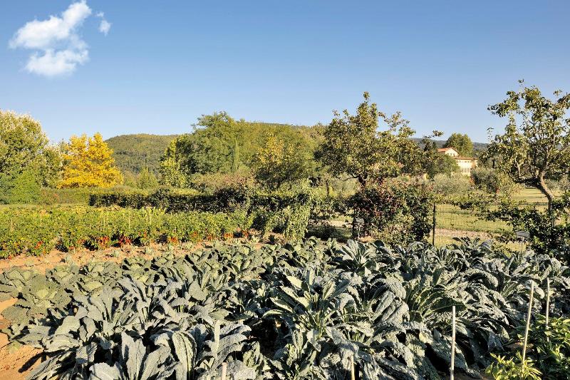 בית מלון כפרי Villa La Massa