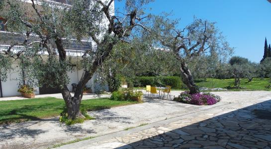 Residence Poggio Delle Ginestre