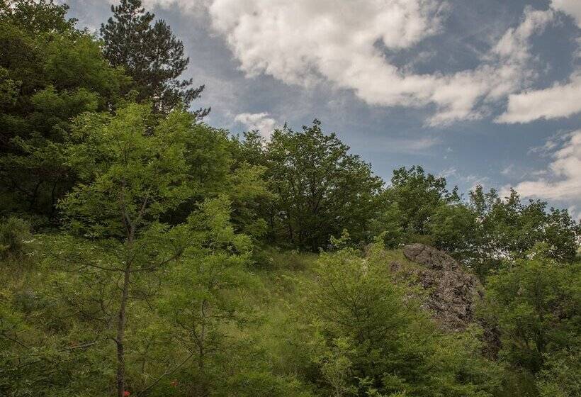 בית מלון כפרי Apricot Aghveran Resort