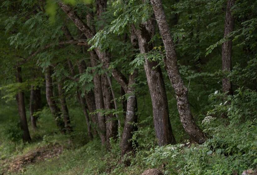 בית מלון כפרי Apricot Aghveran Resort