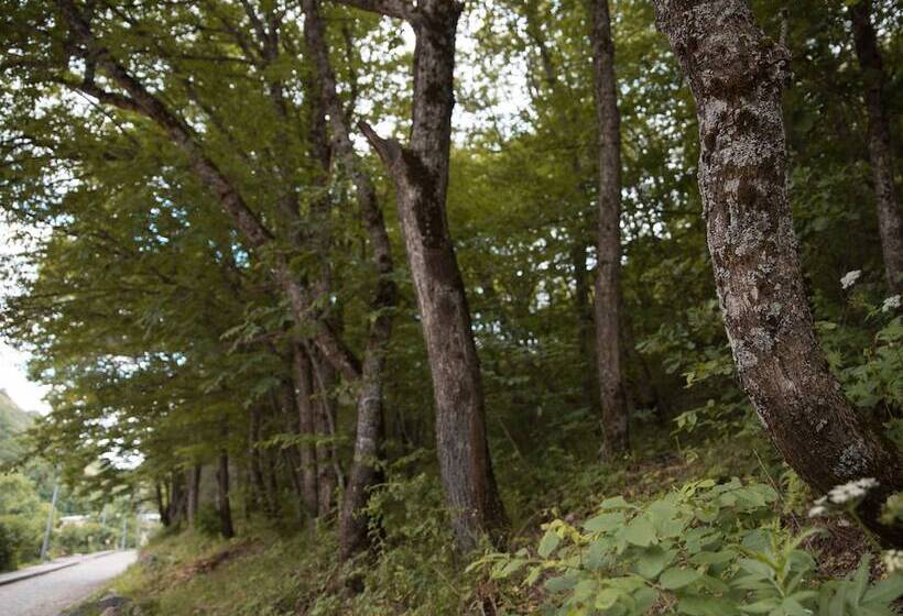 בית מלון כפרי Apricot Aghveran Resort