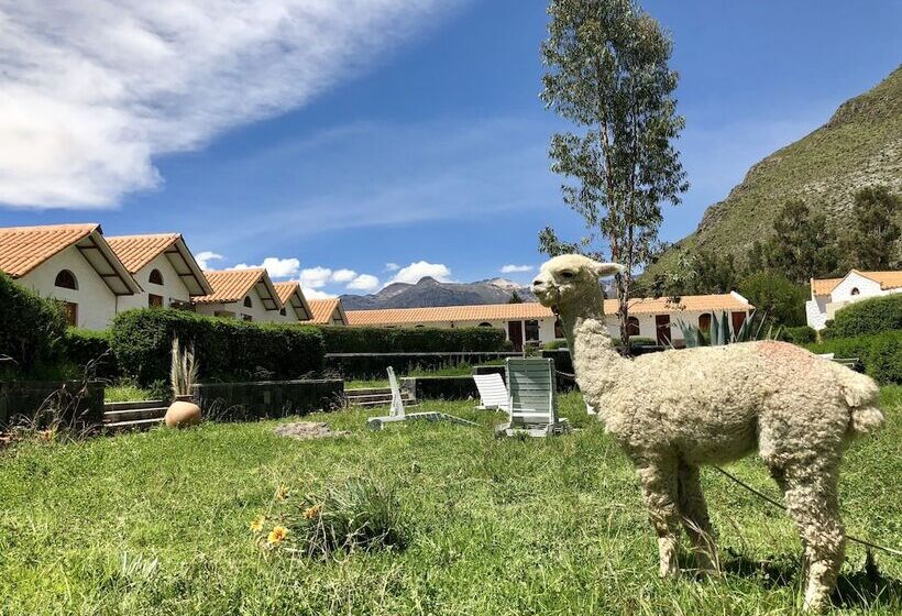 酒店 Casona Plaza Ecolodge Colca
