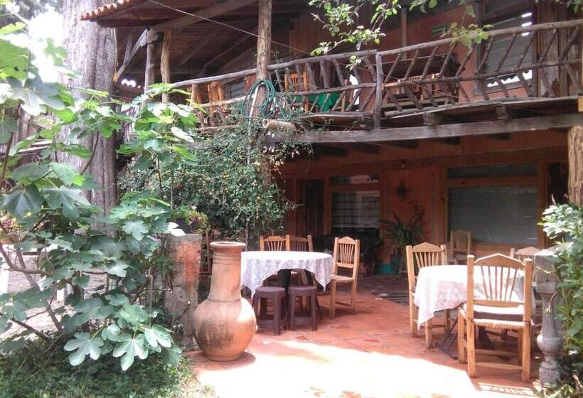 ホテル Cabana Los Ruisenores