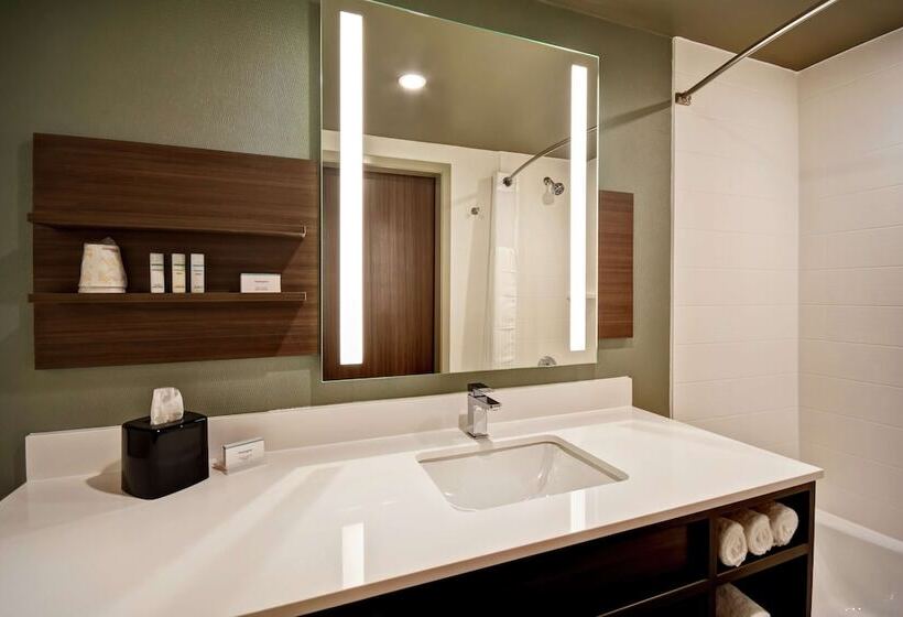 فندق Hilton Garden Inn Lansing West