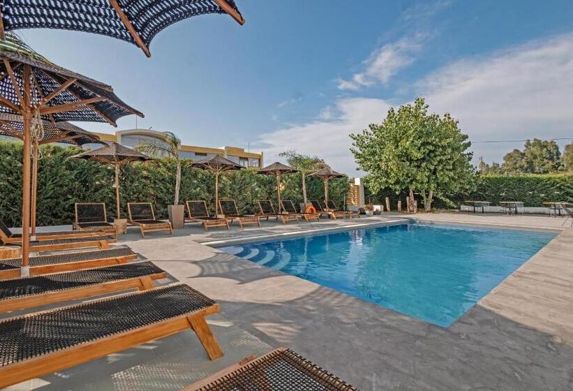 酒店 Olive Grove Suites Boutique