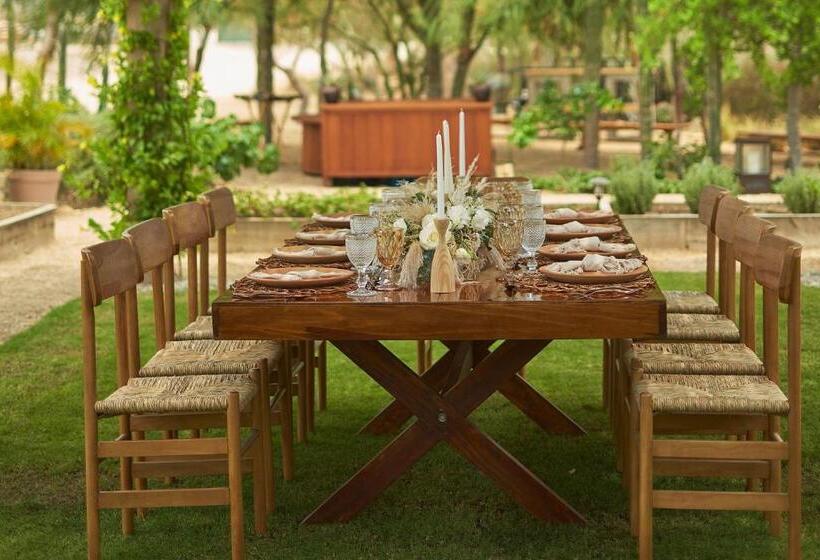 هتل Zadun, A Ritzcarlton Reserve