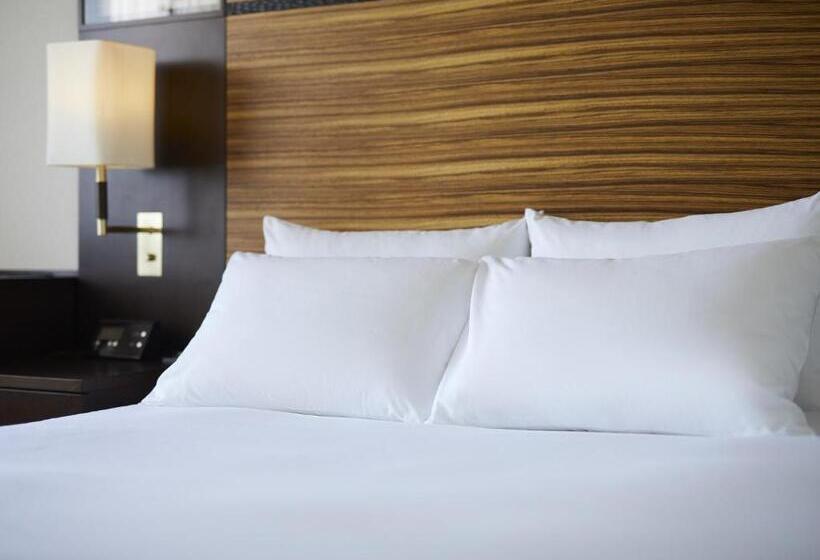 ホテル Ana Crowne Plaza Chitose, An Ihg