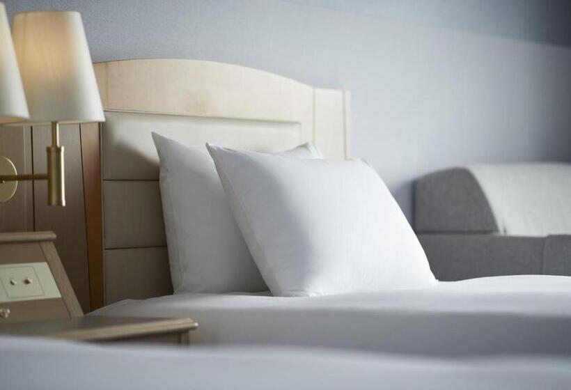 ホテル Ana Crowne Plaza Chitose, An Ihg