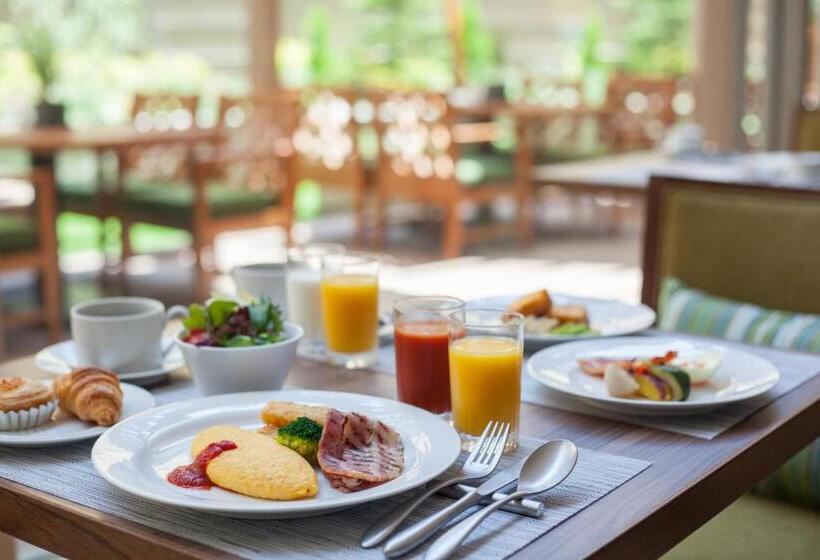 Отель Grand Nikko Tokyo Daiba