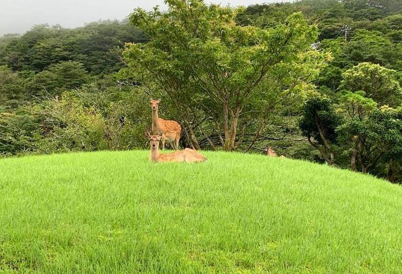 Отель Hakone Yunohana Prince