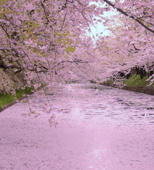 호텔 Hirosaki Park