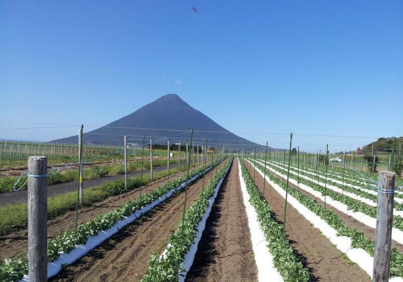 فندق Ibusuki Royal