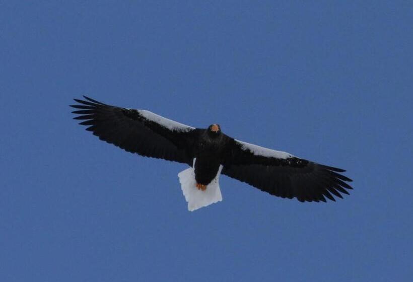 호텔 Kushiro Prince