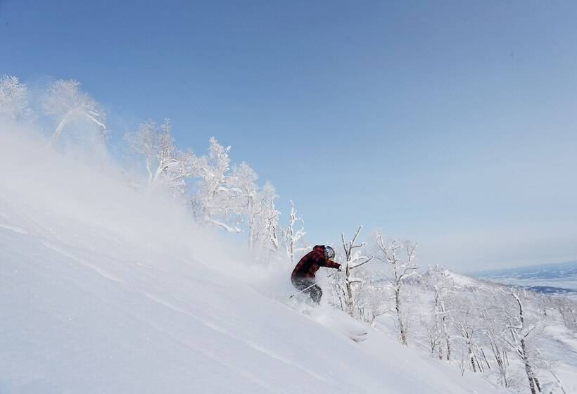 فندق Shin Furano Prince