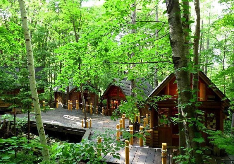 فندق Shin Furano Prince