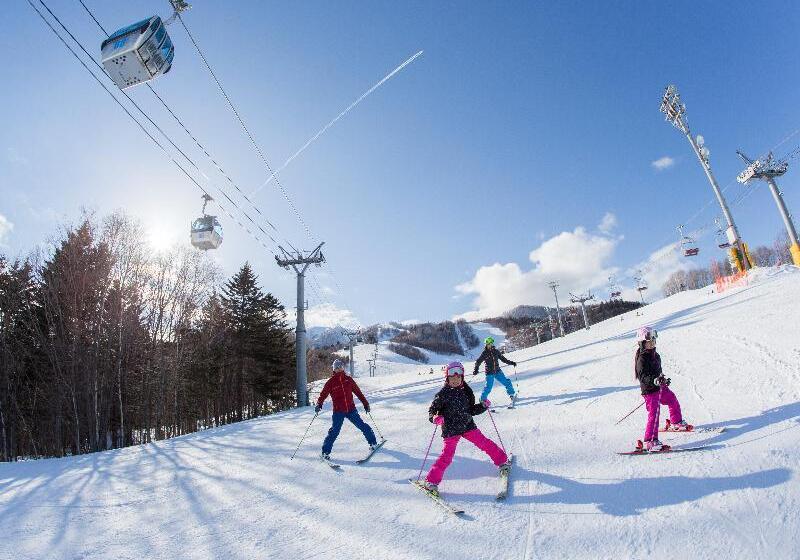 فندق Shin Furano Prince