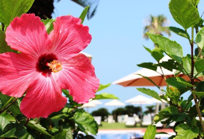 Okuma Private Beach & Resort