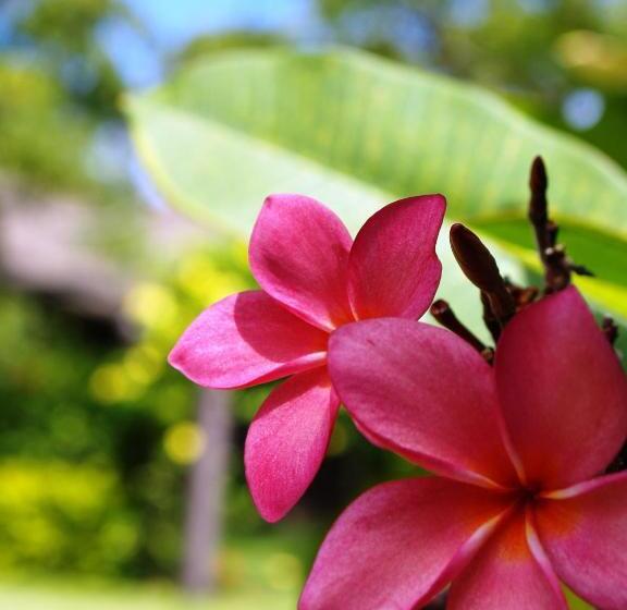 Okuma Private Beach & Resort