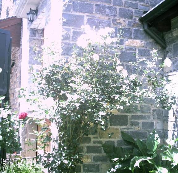 Apartamentos Gabarre