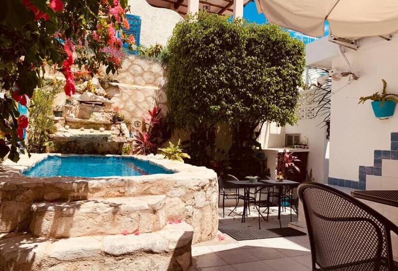 민박 Caribo Cozumel