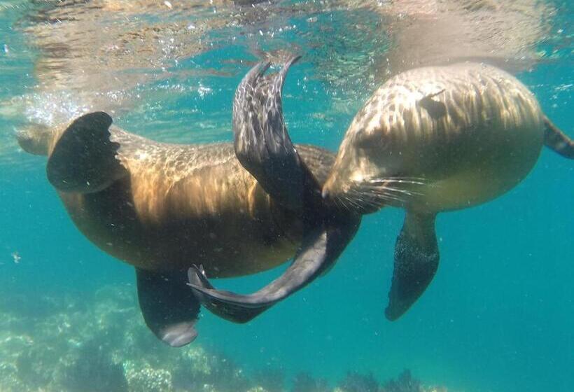 Club Cantamar Beach Hotel & Marina