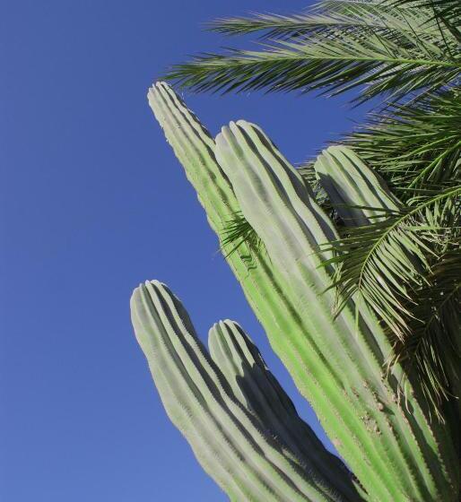 Club Cantamar Beach Hotel & Marina