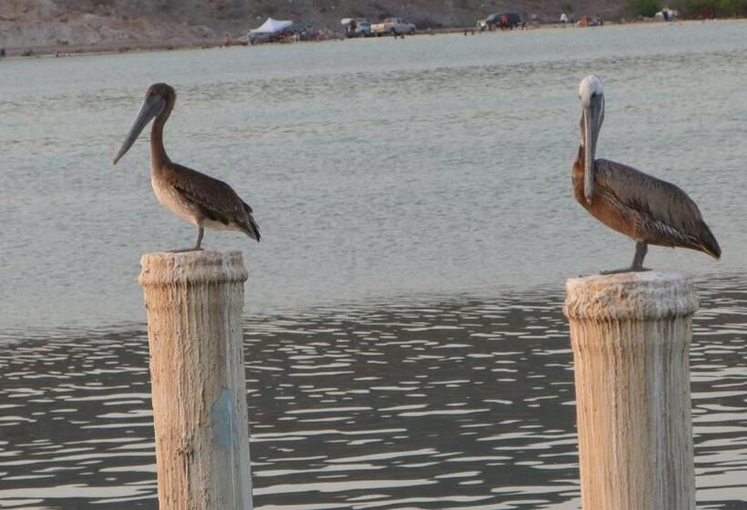 Club Cantamar Beach Hotel & Marina