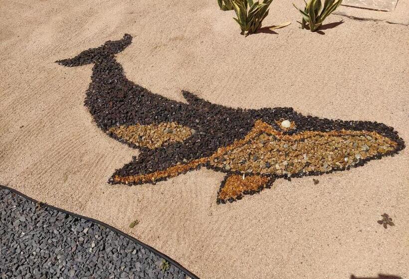 Club Cantamar Beach Hotel & Marina