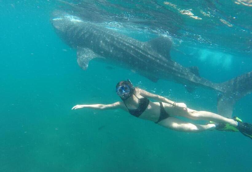 Club Cantamar Beach Hotel & Marina