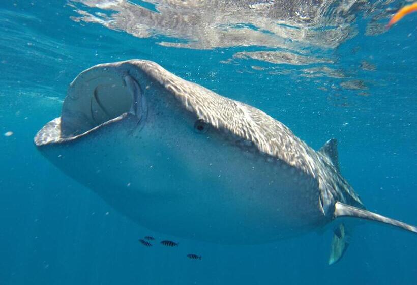 Club Cantamar Beach Hotel & Marina