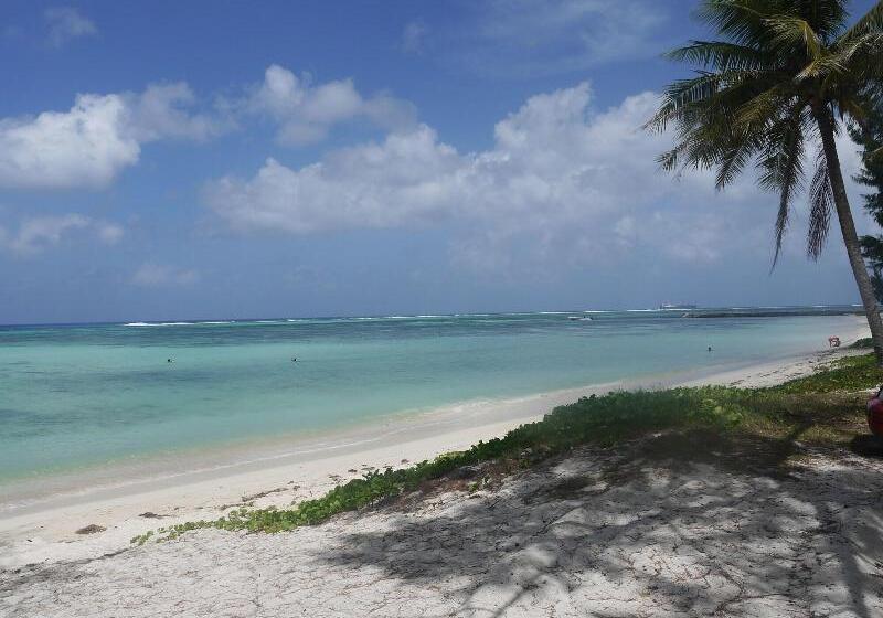 هتل Aquarius Beach Tower