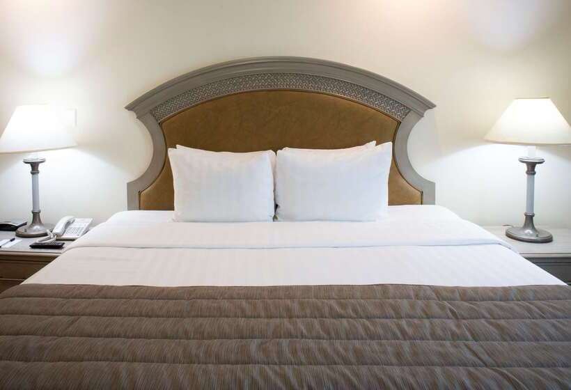 בית מלון כפרי Best Western Plus Monterrey Colon