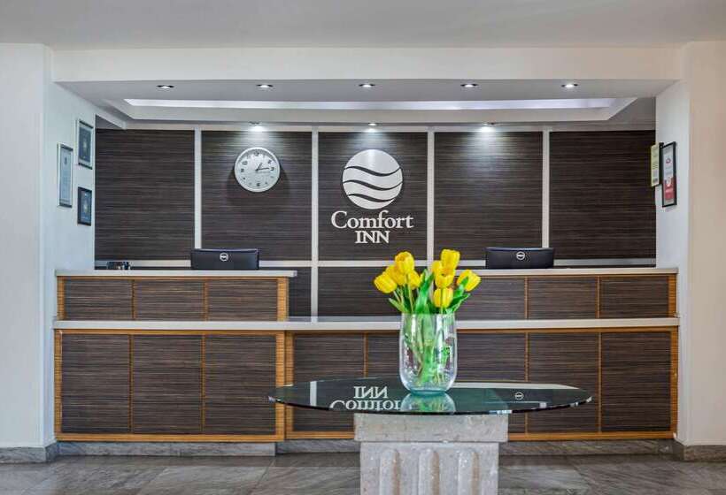 酒店 Comfort Inn Queretaro