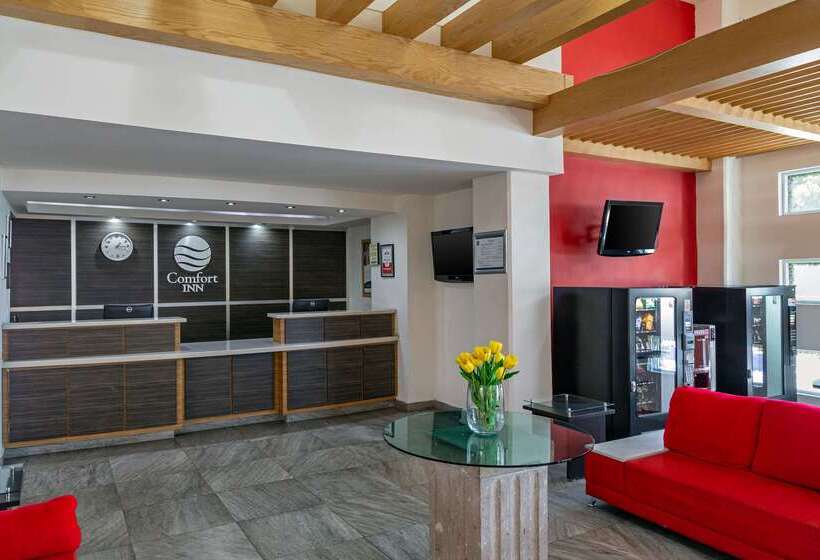 酒店 Comfort Inn Queretaro