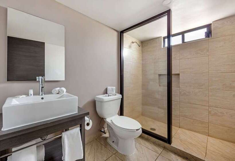 Отель Comfort Inn Queretaro